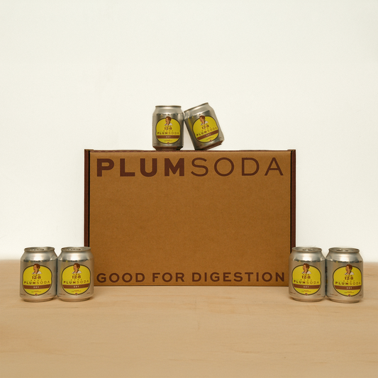DRY PLUM SODA (24 STUBBY LADIES)