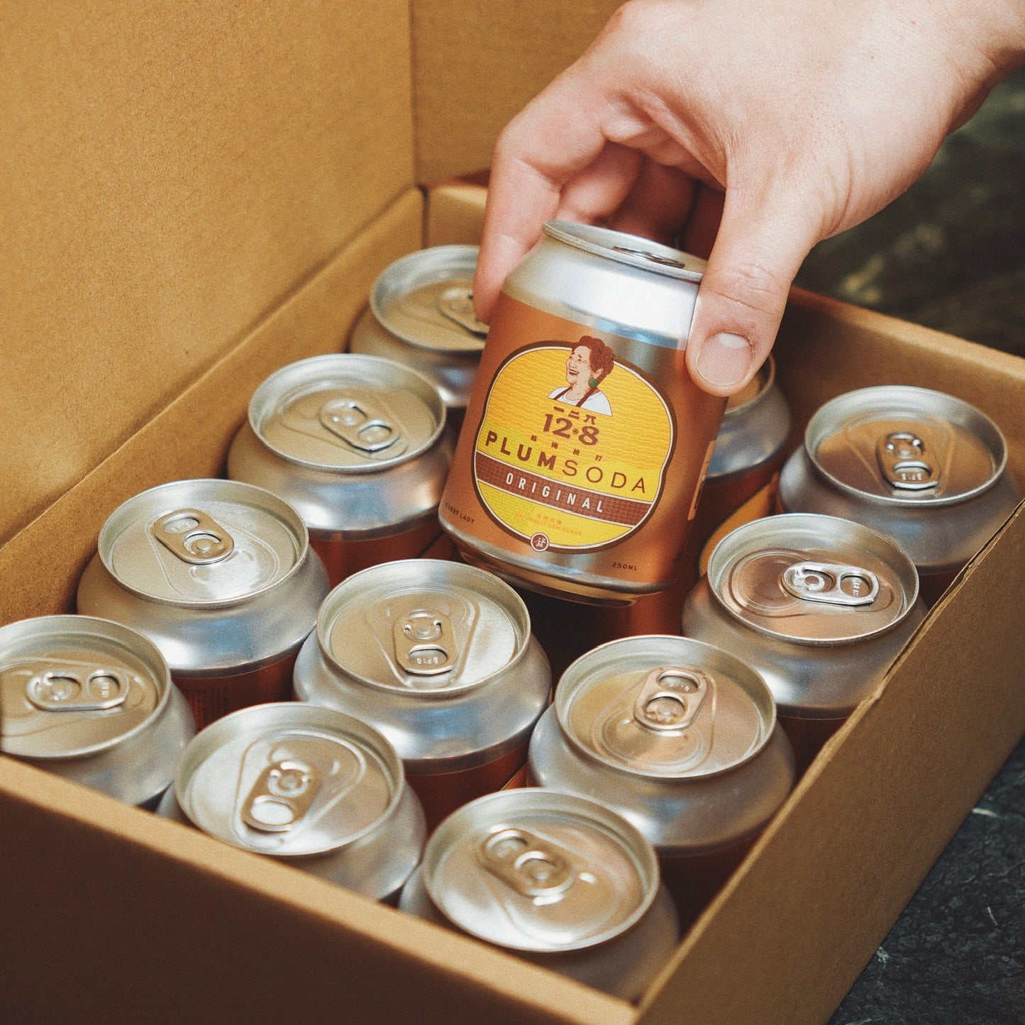 PLUM SODA (12 STUBBY LADIES)