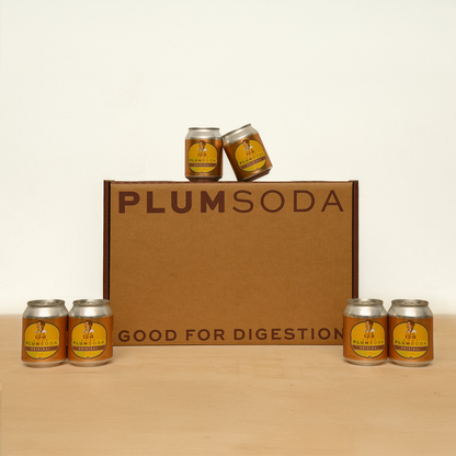 ORIGINAL PLUM SODA (24 STUBBY LADIES)